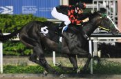 Dragon Spirir<br>Photo by Singapore Turf Club